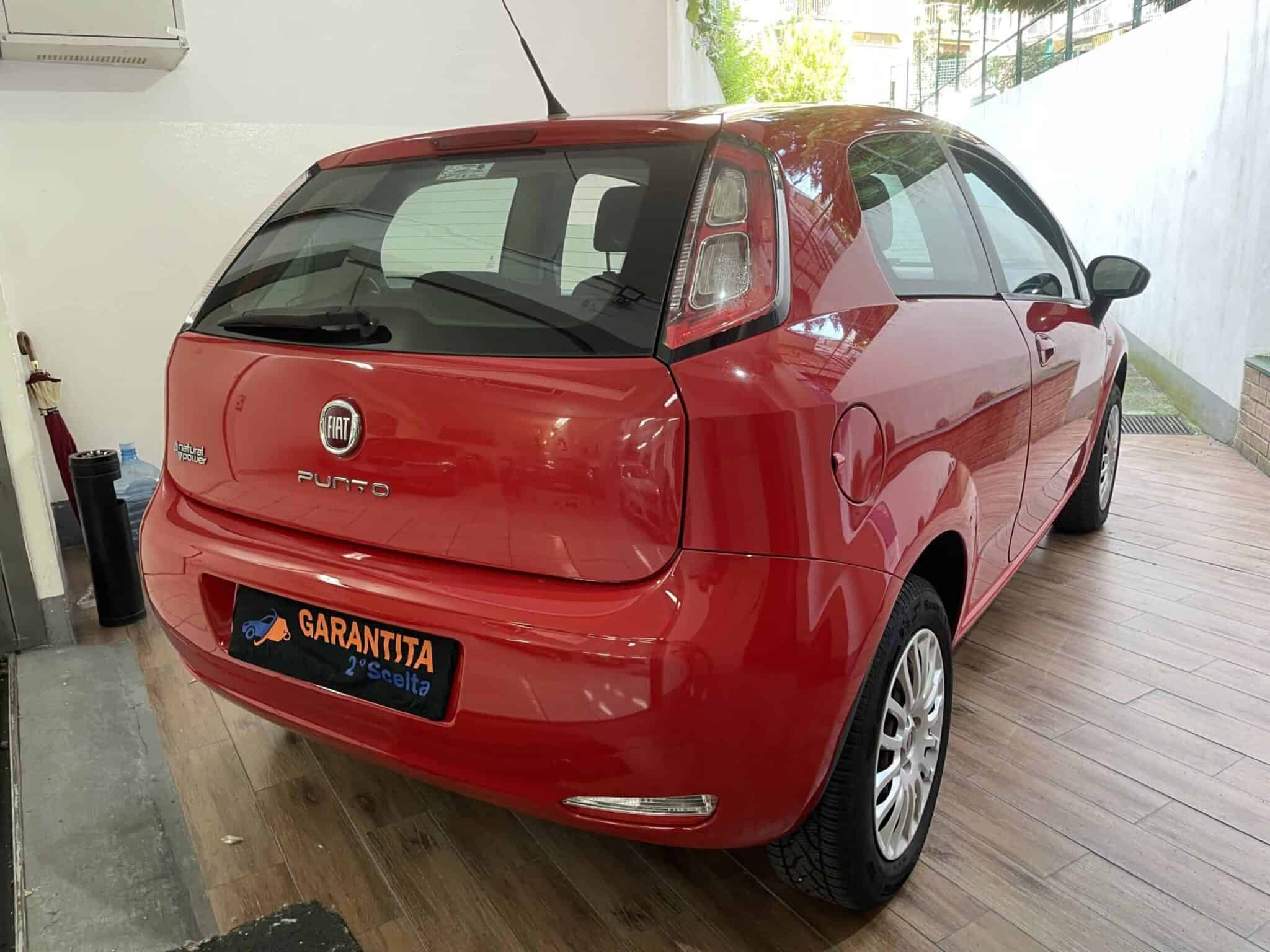 fiat-punto-neopatentati-benzinametano-6-fiat-punto-2013-metano-neopatentati-scal