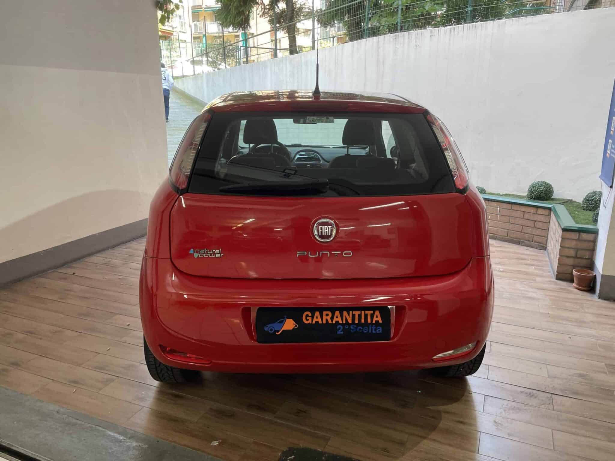 fiat-punto-neopatentati-benzinametano-8-fiat-punto-2013-metano-neopatentati-scal